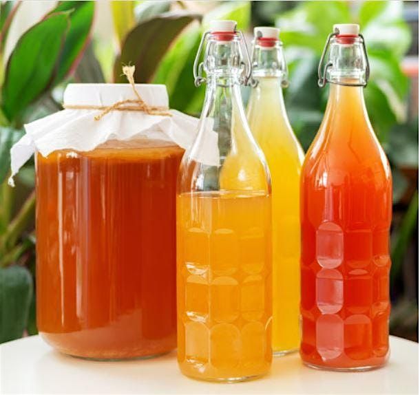 Kombucha Brewing Workshop