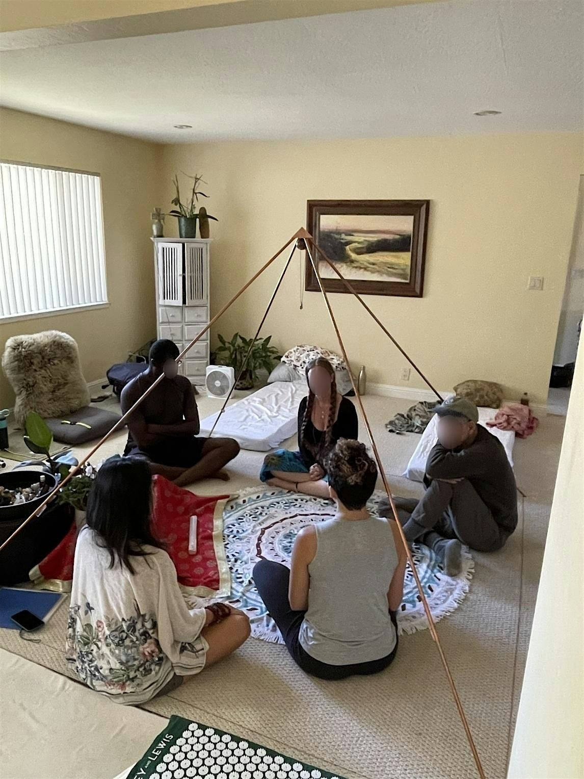 Microdosing and Meditation (In-person Meetup)