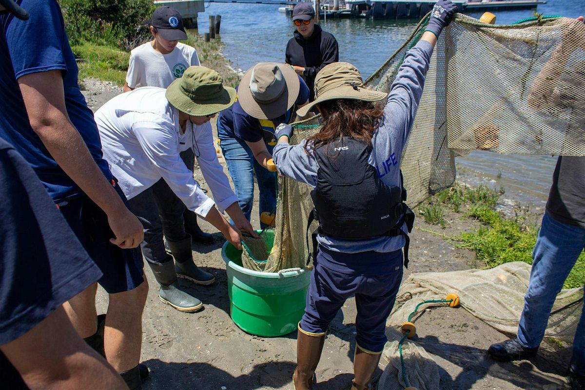 Explore the Bay: Marine Life Inventory