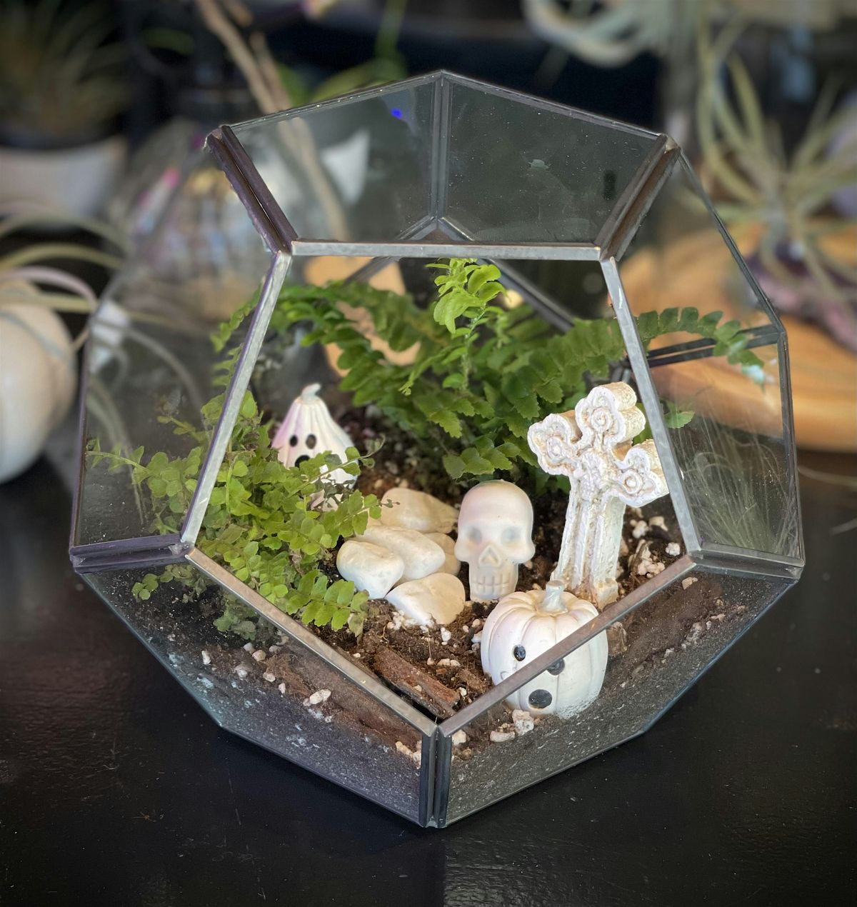 Cemeterrarium Night