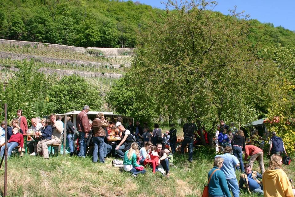 Weinfest und Erntedank