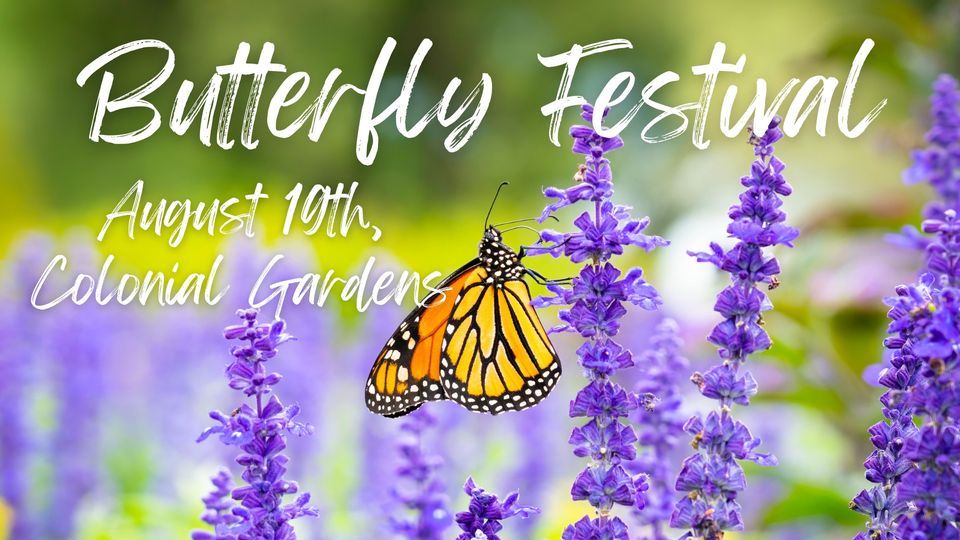 Butterfly Festival 2023