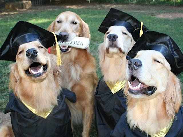 Service Dog Graduation Ceremony