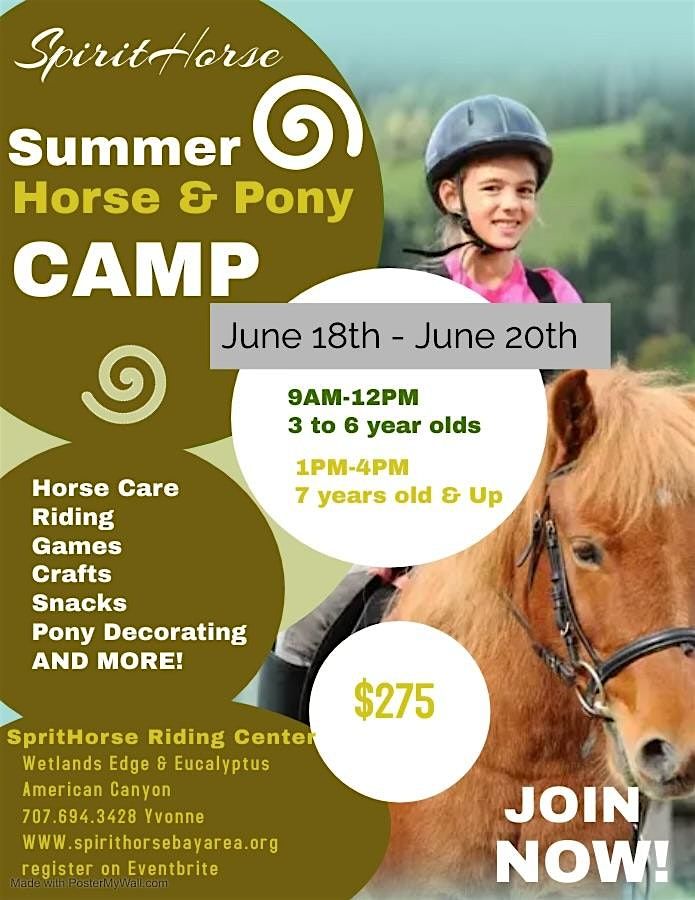 2 Day Summer Break Horse & Pony Camp!