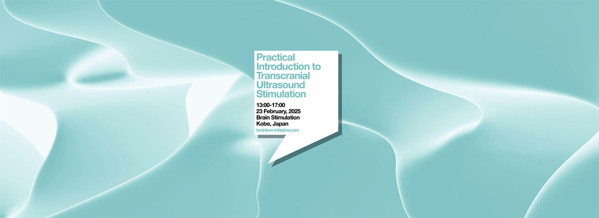 Practical Introduction to Transcranial Ultrasound Stimulation