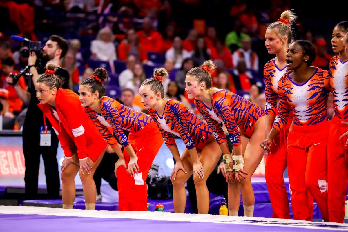 California Golden Bears at Clemson Tigers Womens Gymnastics