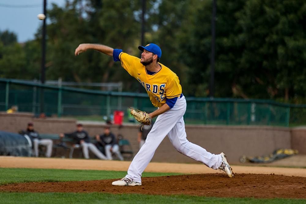 Canaries Baseball Game