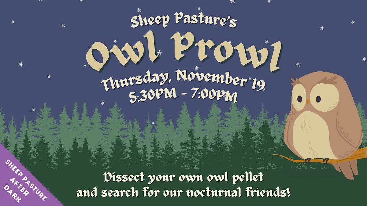 Owl Prowl! (Sheep Pasture: After Dark)