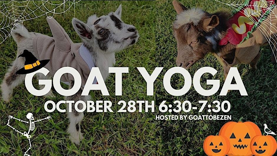 Goat Yoga: Halloween Edition at Eavesdrop Brewery!