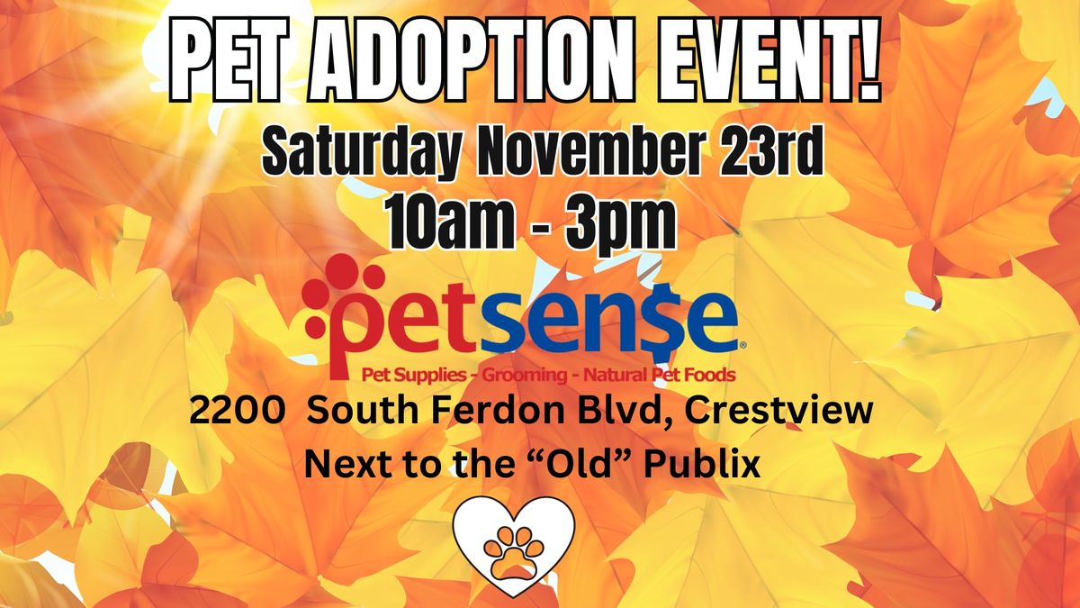 Pet Adoption Event at Petsense Crestview