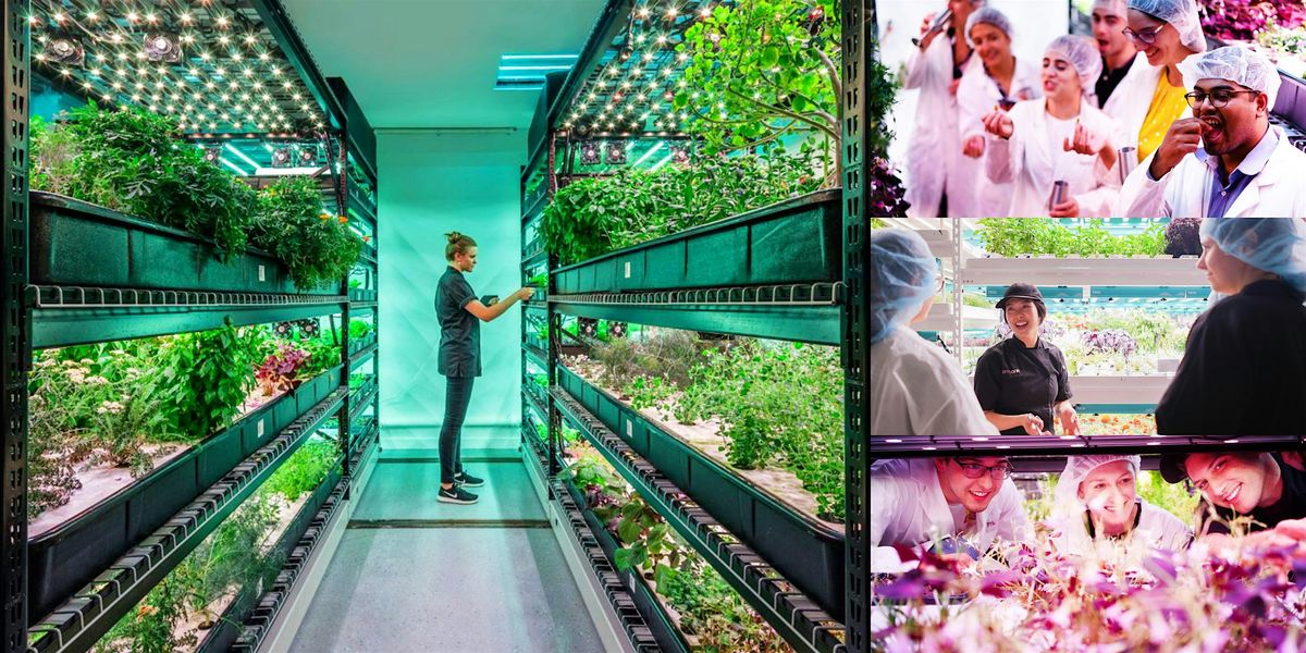 Private Tour & Tasting @ Farm.One, Brooklyn's Cutting-Edge Hydroponic Farm