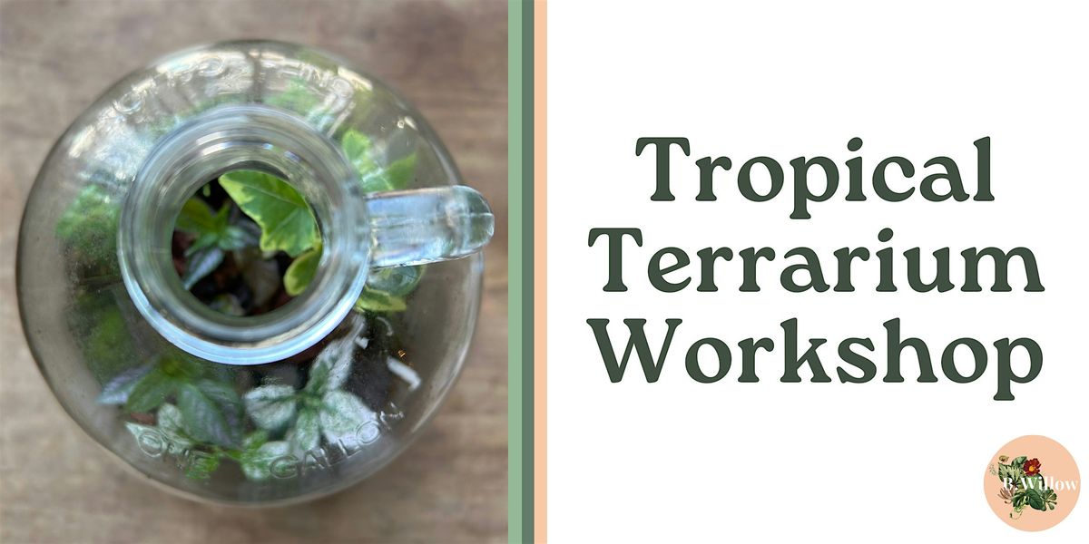 Tropical Terrarium in Glass Jug Workshop
