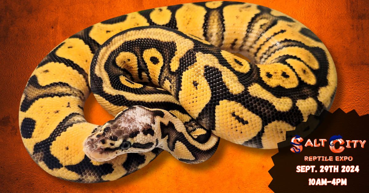 Salt City Reptile Expo - Fall 2024