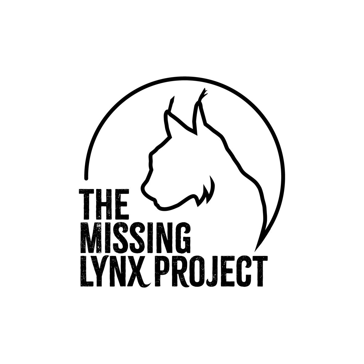 The Missing Lynx Exhibition - Hexham Abbey. Walk-in 12:00 - 16:00