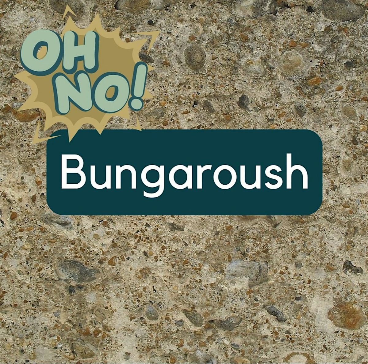 Living With & Understanding Bungaroush