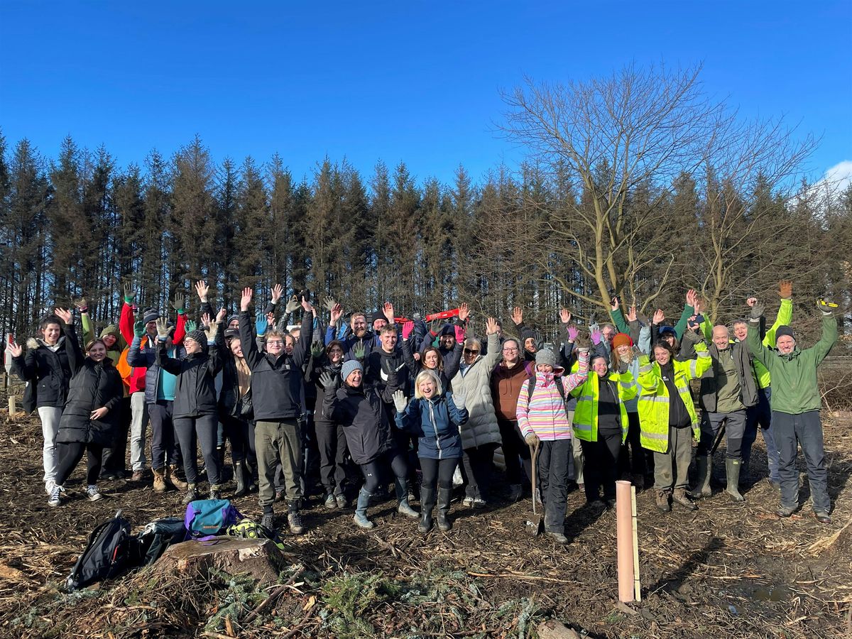 Railway Wood Community Planting Day