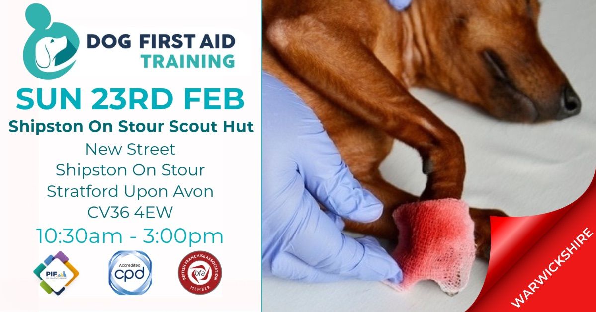 Shipston On Stour - Stratford Upon Avon Dog First Aid Course \u2764\ufe0f\u200d\ud83e\ude79\ud83d\udc36