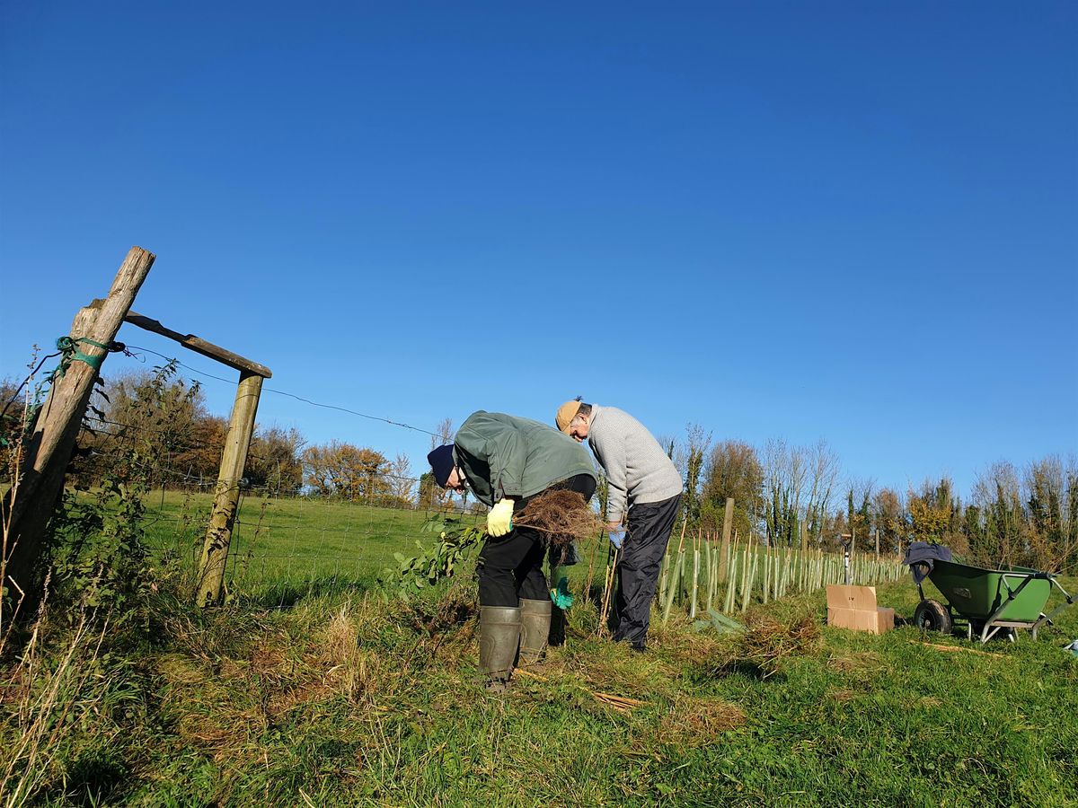 Hedge Planting Action Day - The Hampshire Hedge 5th Dec