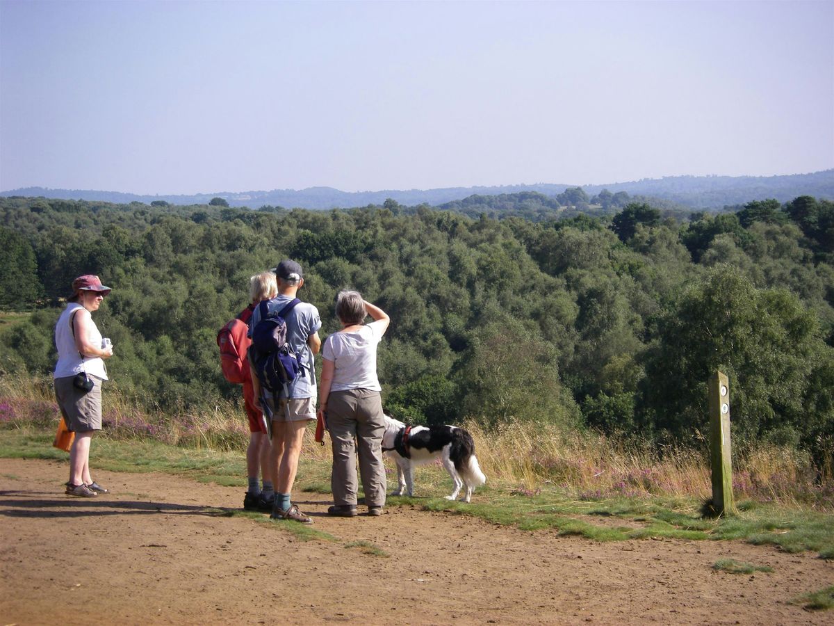 Get Back to Nature! Surrey Hills Guided Walking Weekend Break