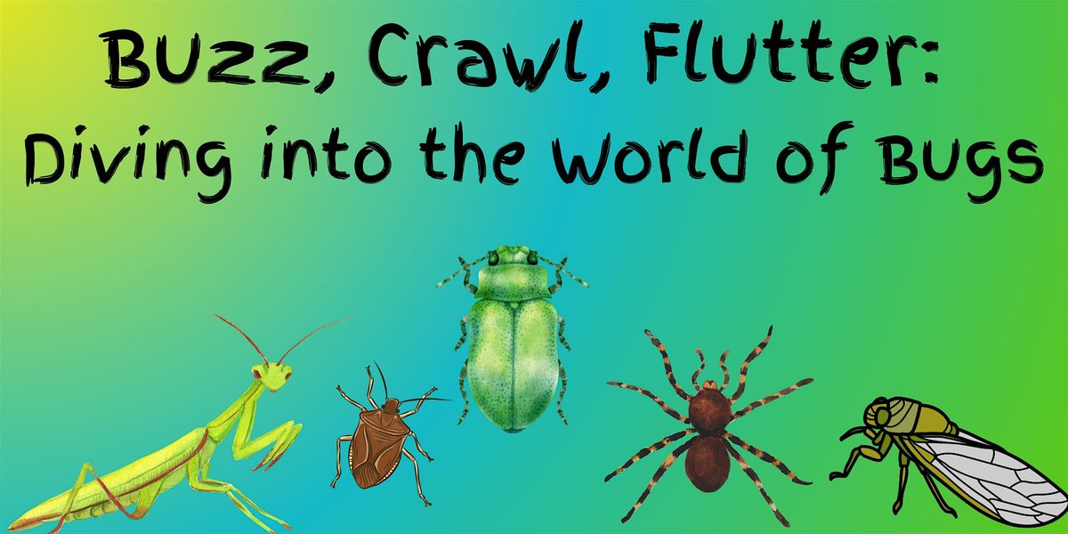 Buzz, Crawl, Flutter: Diving into the World of Bugs