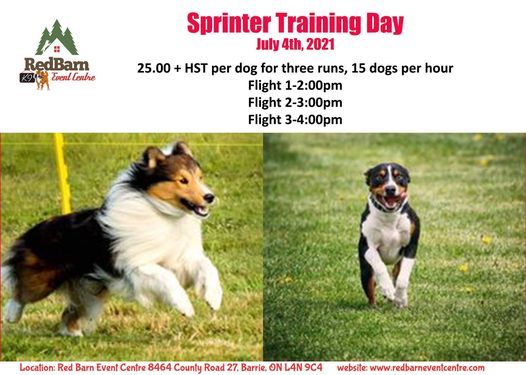 Sprinter Training Day