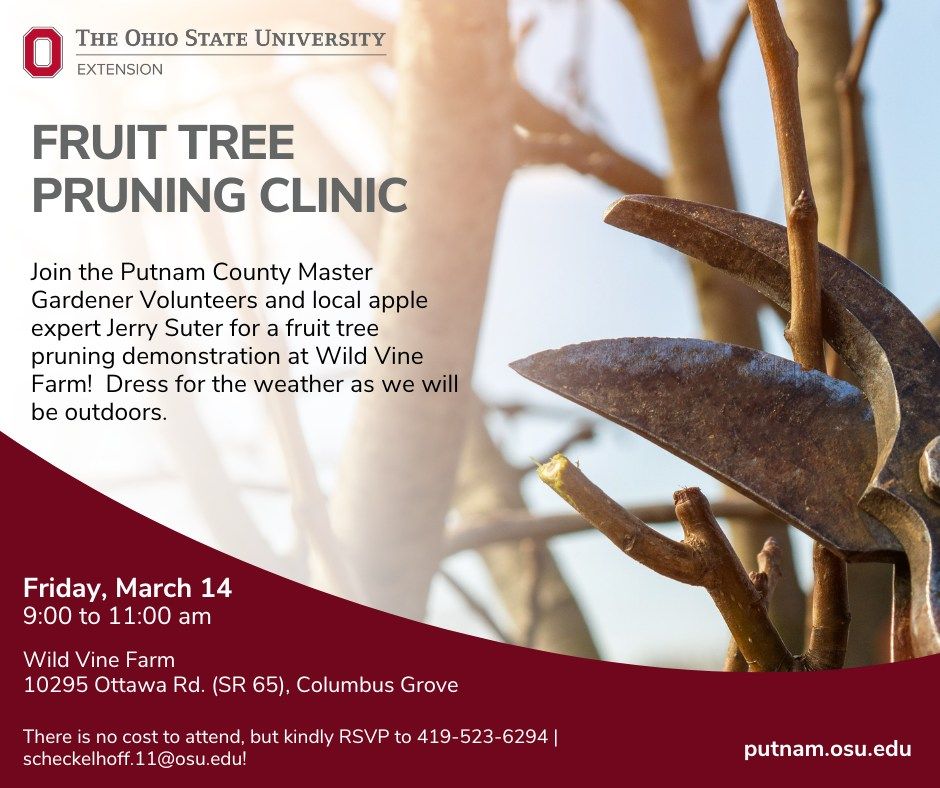 Fruit Tree Pruning Clinic