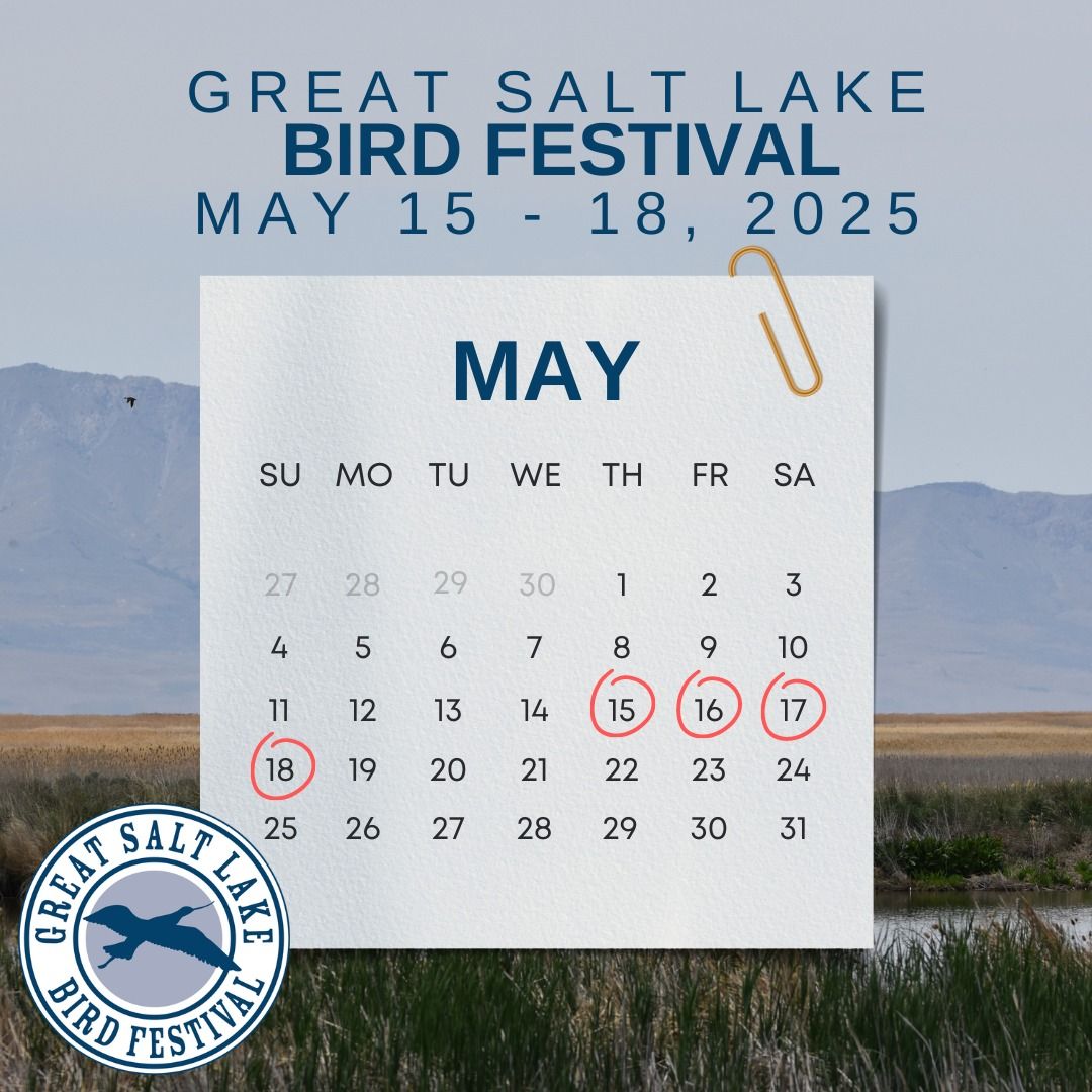 Great Salt Lake Bird Festival 