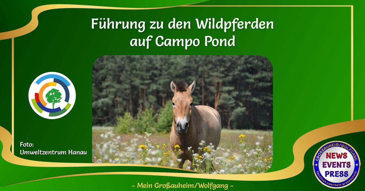 F\u00fchrung zu den Wildpferden auf Campo Pond 