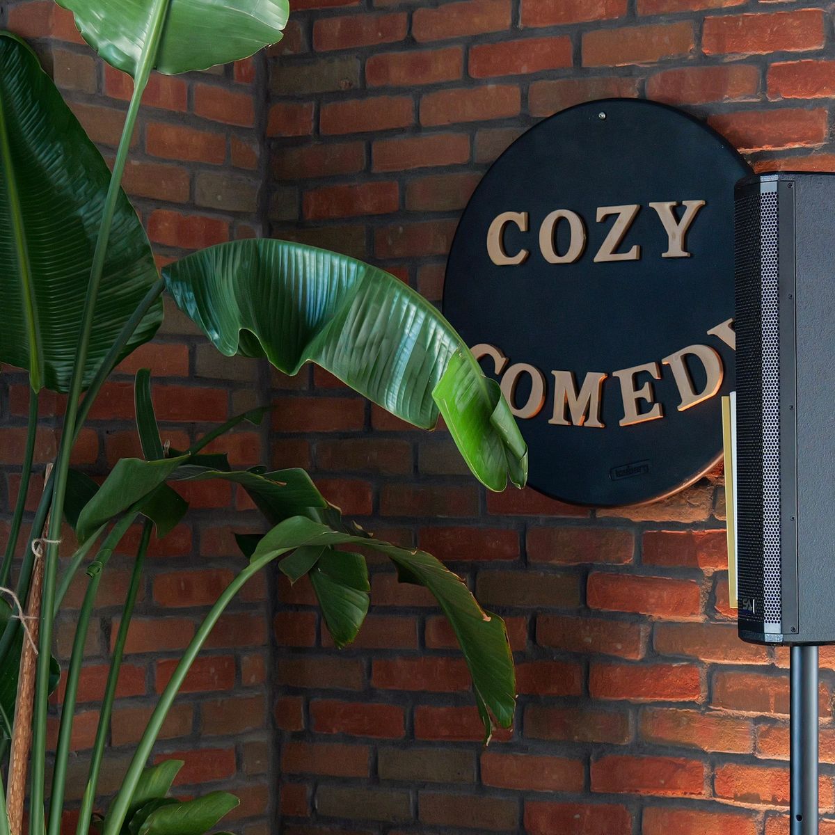 Cozy Comedy Staring Wolfgang Gohlke