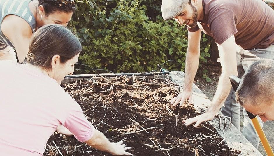Dig In! 2022: Six-Part Edible Gardening Series