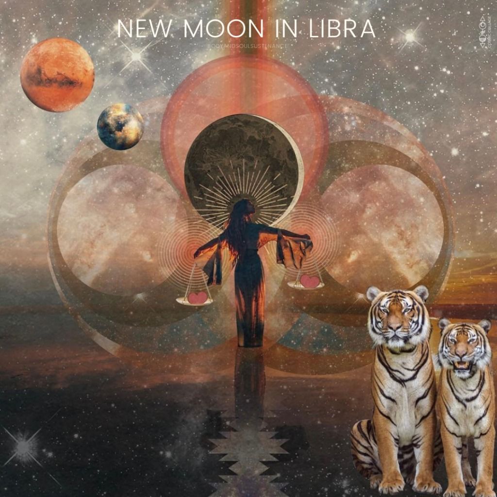 New Moon Circle | Astrology Update & Tea Ceremony