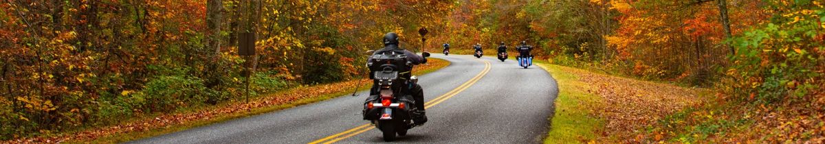 Ride b\u00e9n\u00e9fices d'automne pour la Vigile https:\/\/lavigile.qc.ca\/