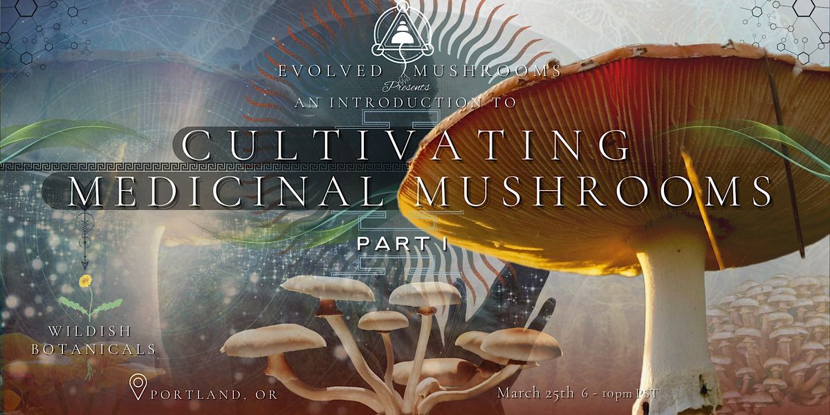 An Introduction to Medicinal Mushroom Cultivation Part 1, Wildish