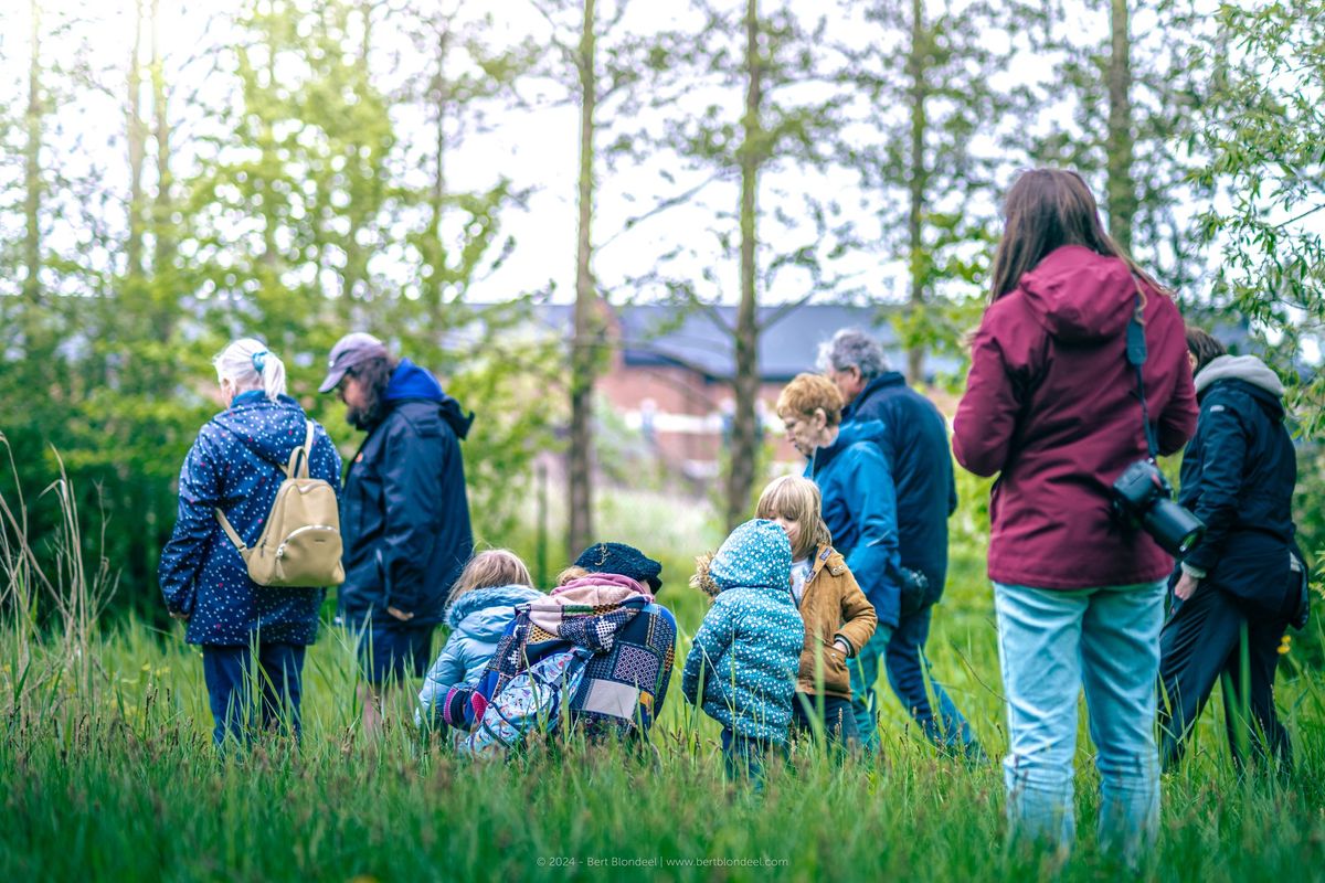 Wandel tussen voorjaarsbloeiers