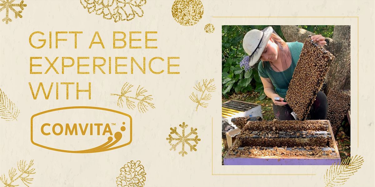 Gift a Comvita Bee Experience for the Holidays