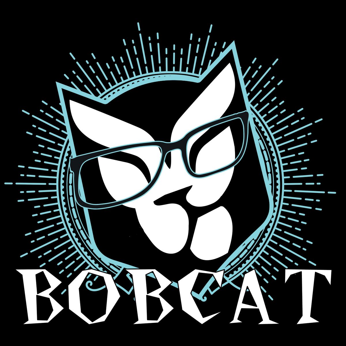 Bobcat Live At Montrose Saloon Chicago IL