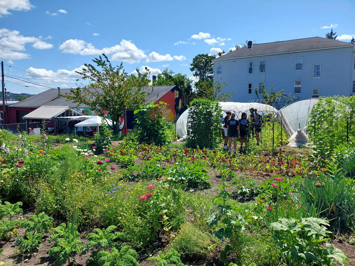 UMass Urban Ag Mentor Farm Program