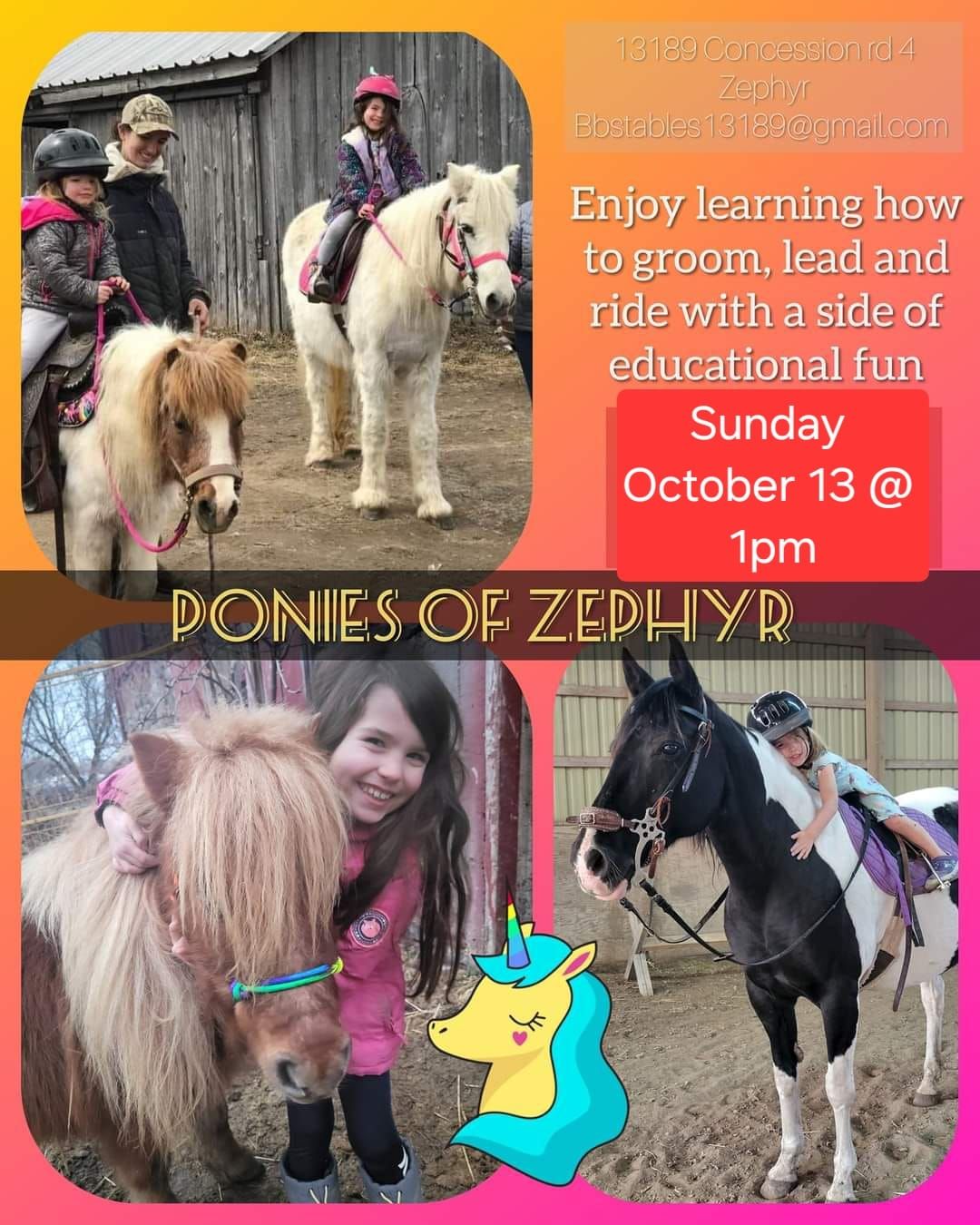 ponies of Zephyr 