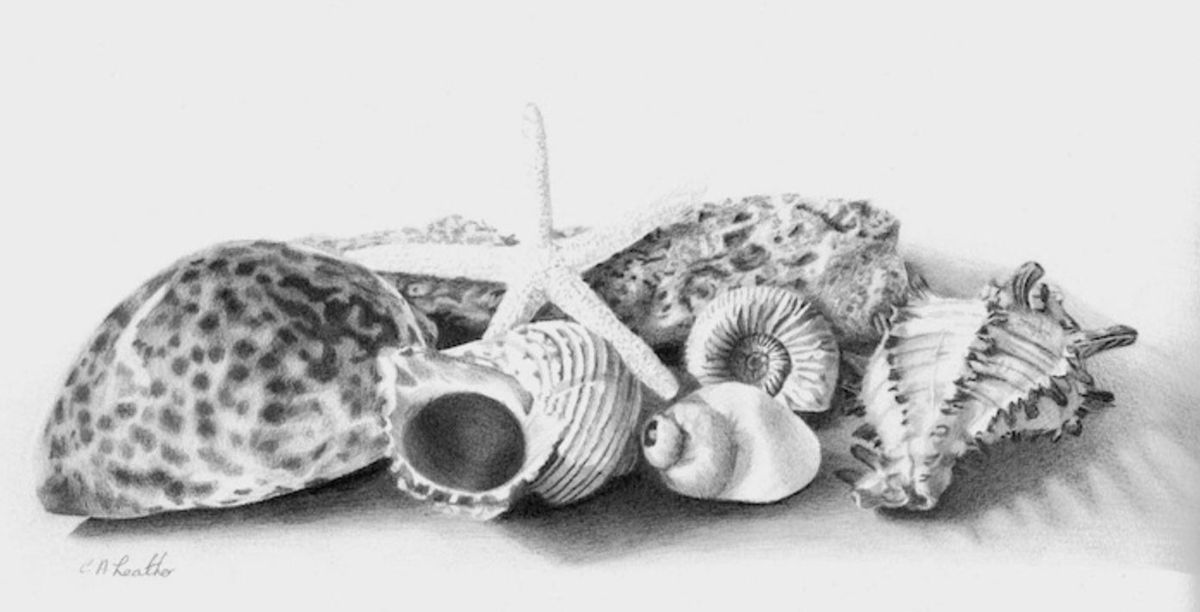 Adult Art Workshops - Drawing and Shading with Graphite