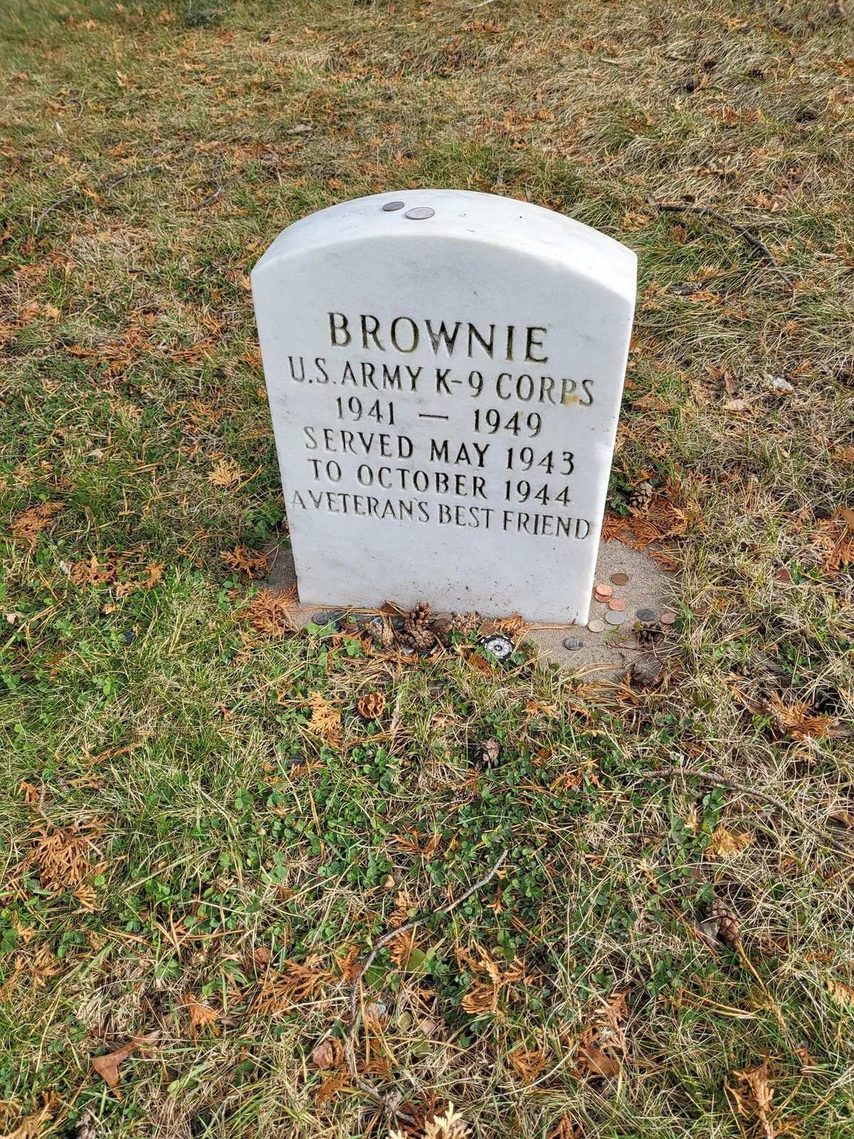 Brownie the War Dog: Veterans' Best Friend