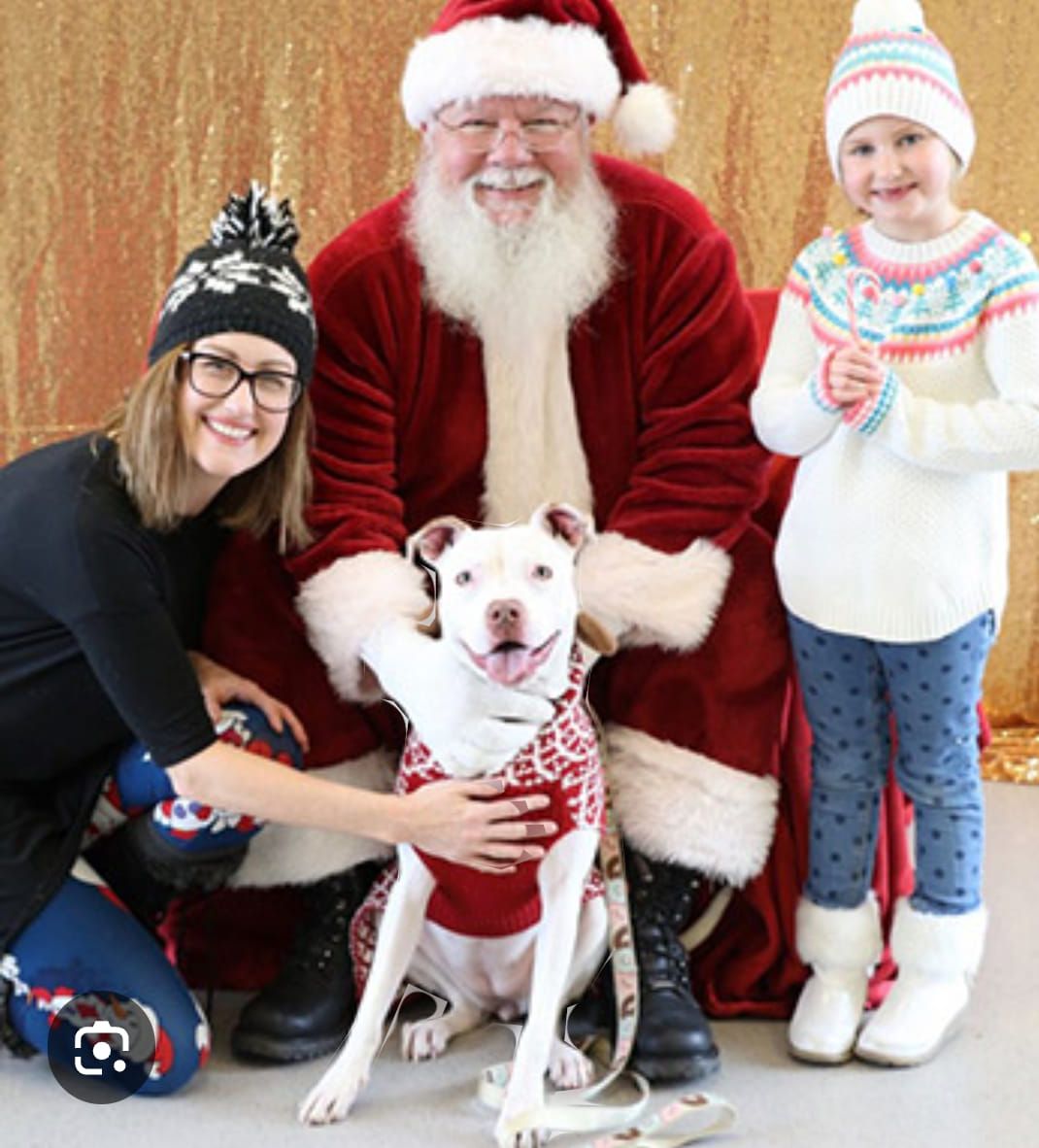 Pictures with Santa at Pet Supplies Plus Battle Creek