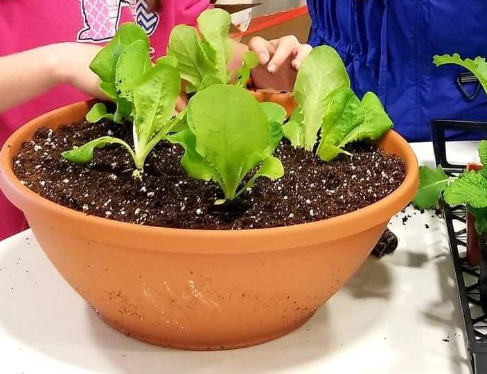 Easter Bunny Breakfast Bowl