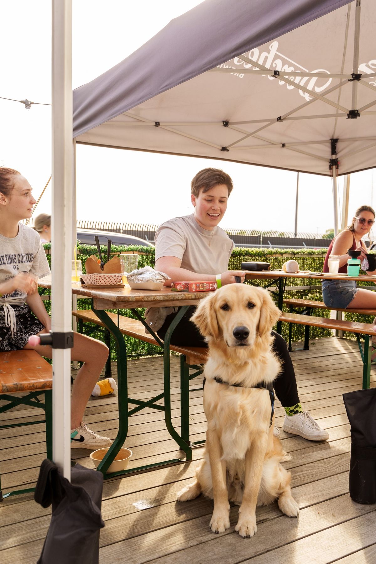 Weekly Yappy Hour