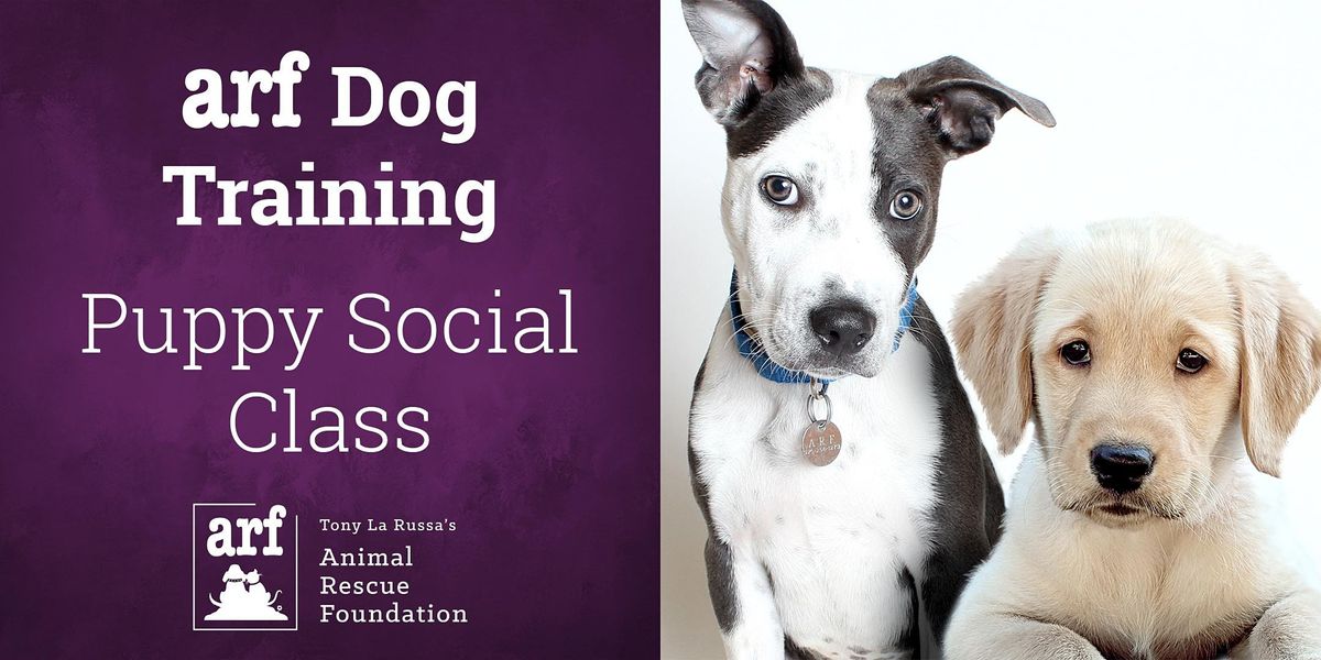 ARF Puppy Social