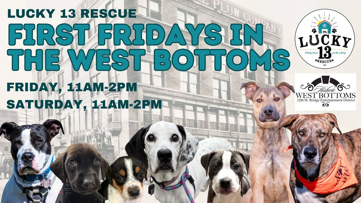 Lucky 13 Rescue Adoption Event in the Historic West Bottoms 