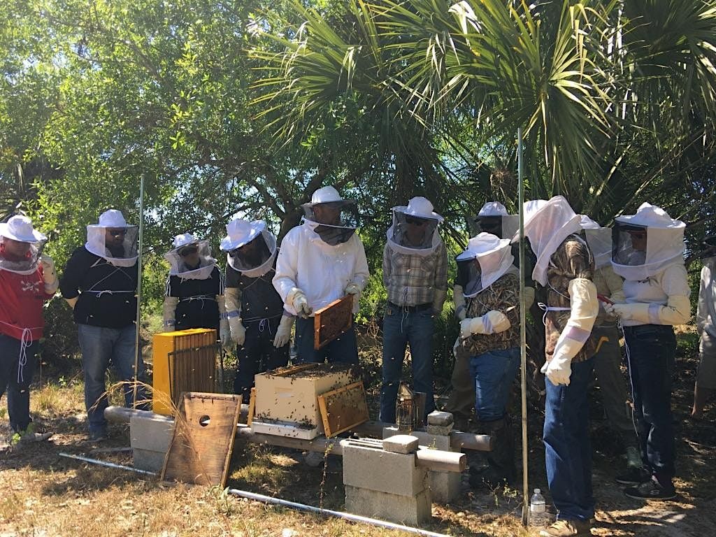 Advanced Beekeeping | 1-day Hands-On Workshop