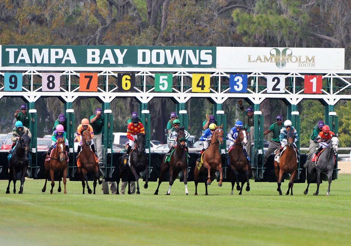 Lunch Bunch at Tampa Bay Downs