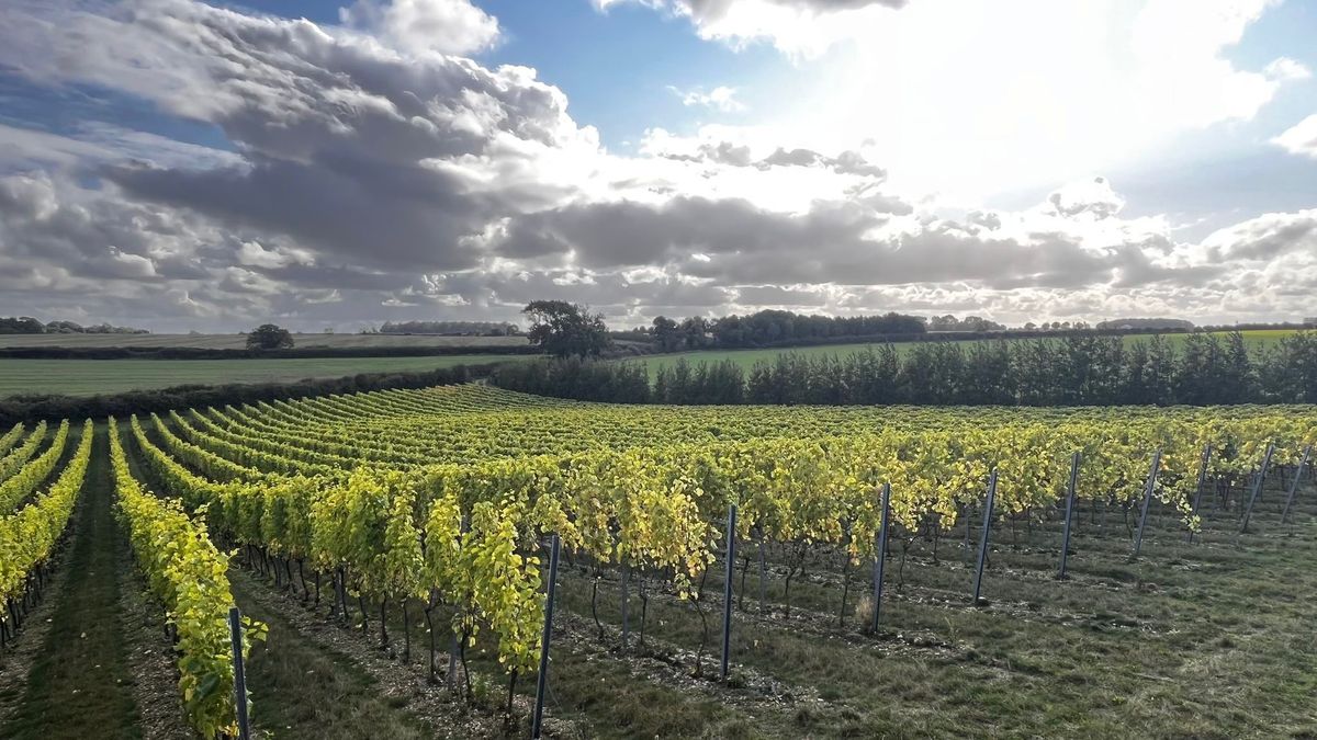 Burn Valley Vineyard Tasting with Mathew Abbey