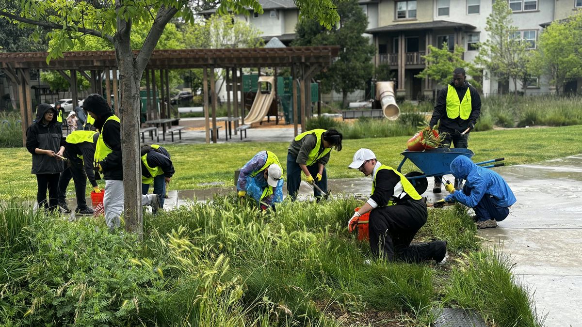 Community Day at Three Creeks Trail, Iris Garden - Sunday Series