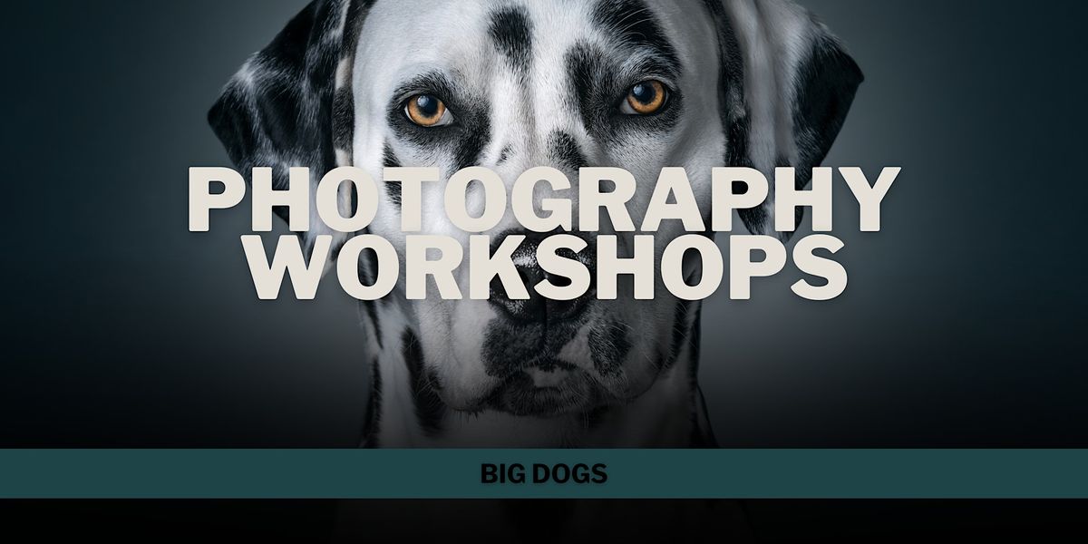 Photography Workshop: Big Dogs